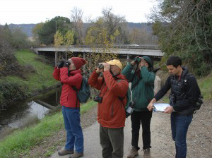 Overview of Alameda Creek Watershed